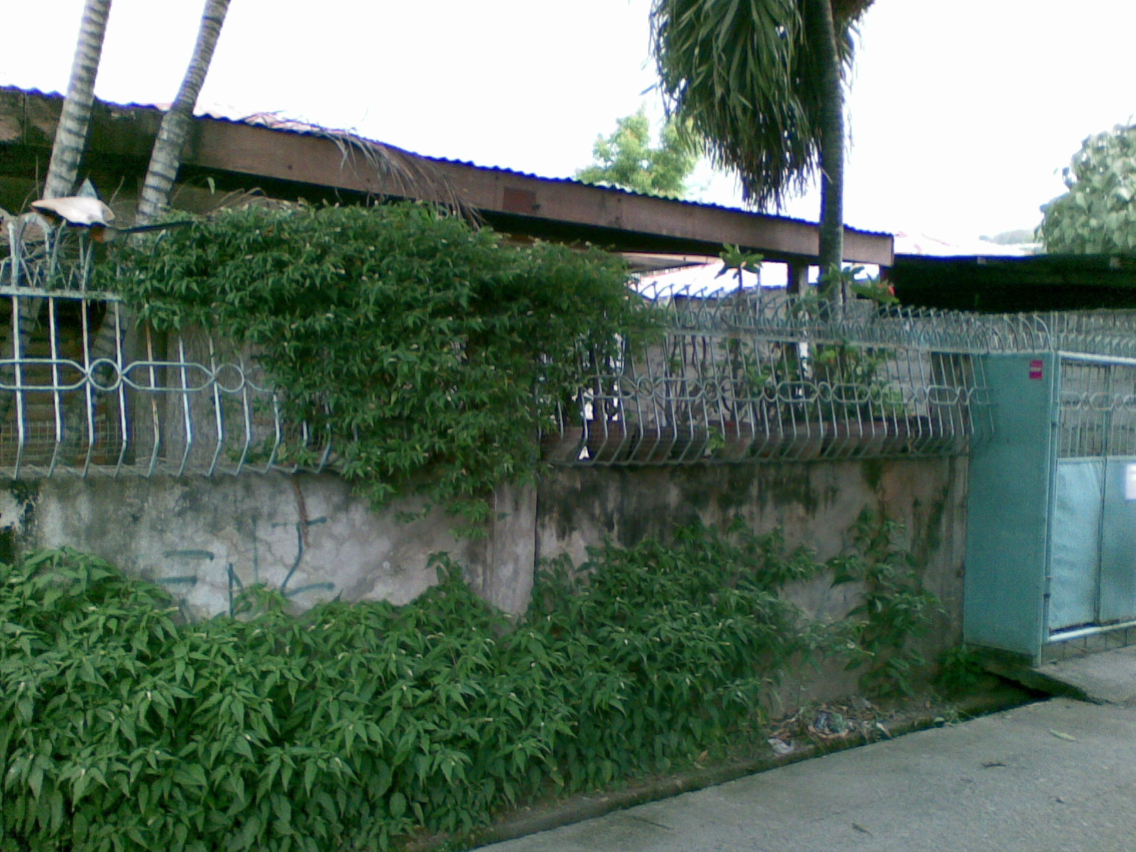 House and Lot for sale at Balulang, Cagayan de Oro City, Philippine House and Lot for sale at Balulang, Cagayan de Oro City, Philippines